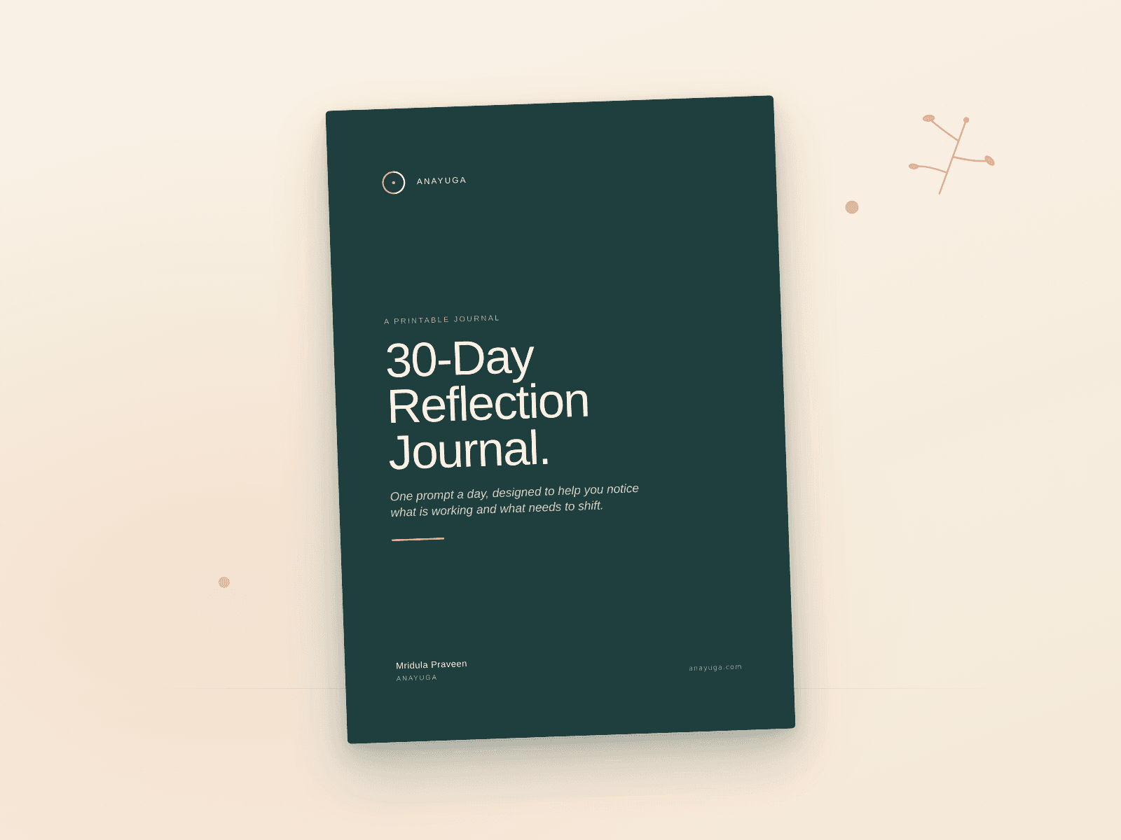 30-Day Reflection Journal cover